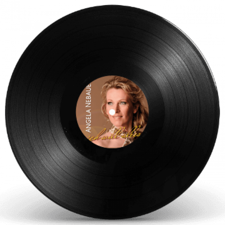 Schallplatte-Design-ich-will-alles